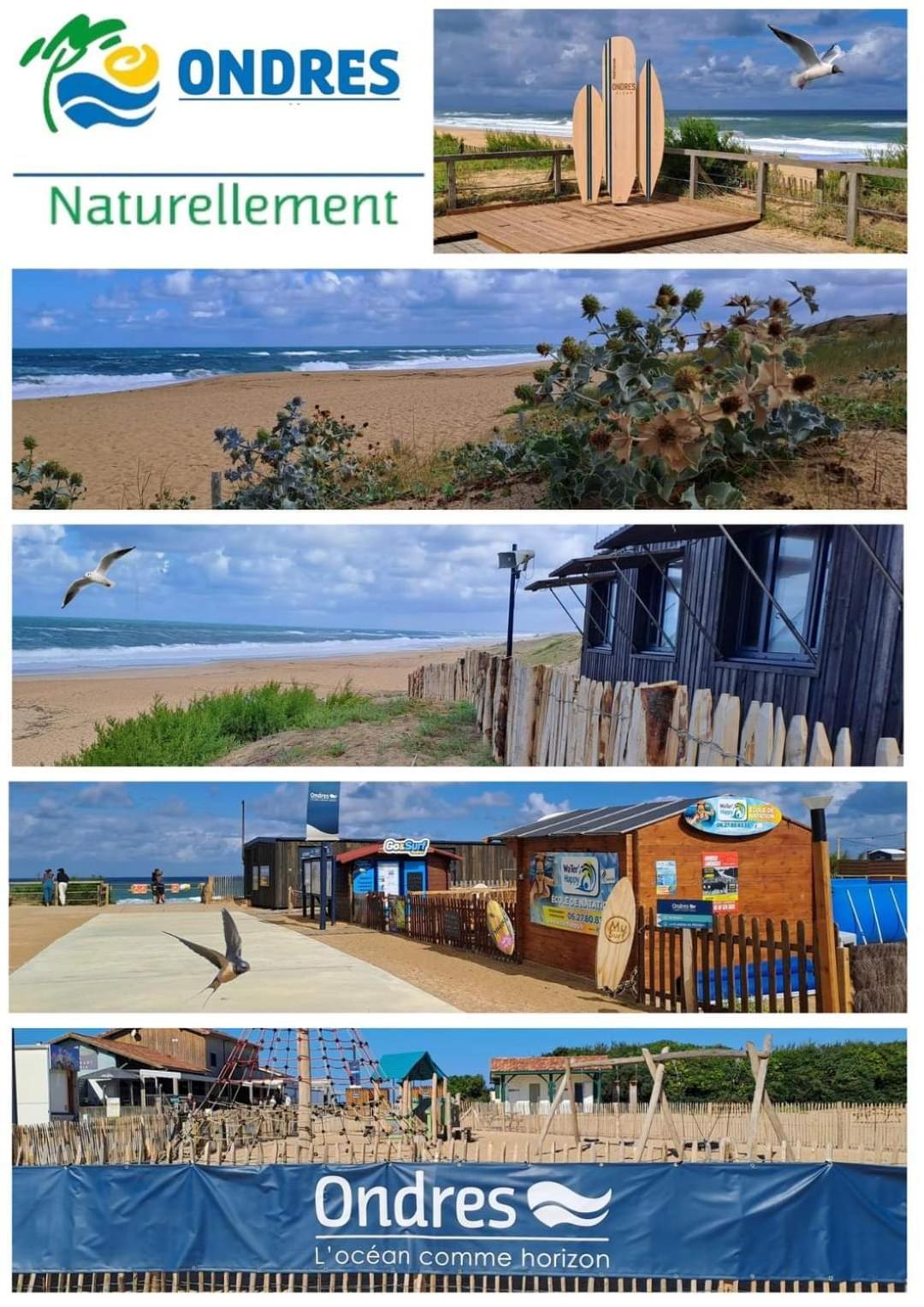T2 Turquoise Ondres Plage Avec Piscine Et Tennis Exteriér fotografie